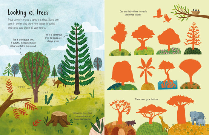 Book - First Sticker Book - Trees - Spread