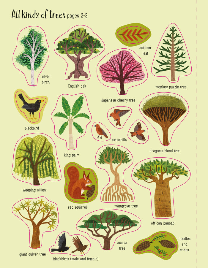 Book - First Sticker Book - Trees - Spread 2