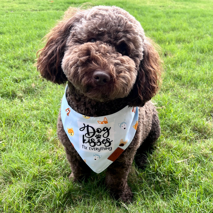 Dog Kisses Fancy Band-Anas For Pets