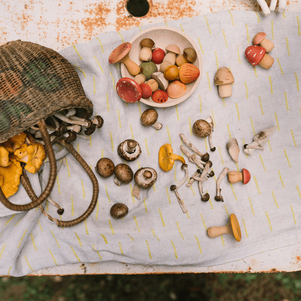 Picnic blanket outdoors scattered with a wicker basket full of mushrooms, loose mushrooms, and plate of wooden mushrooms