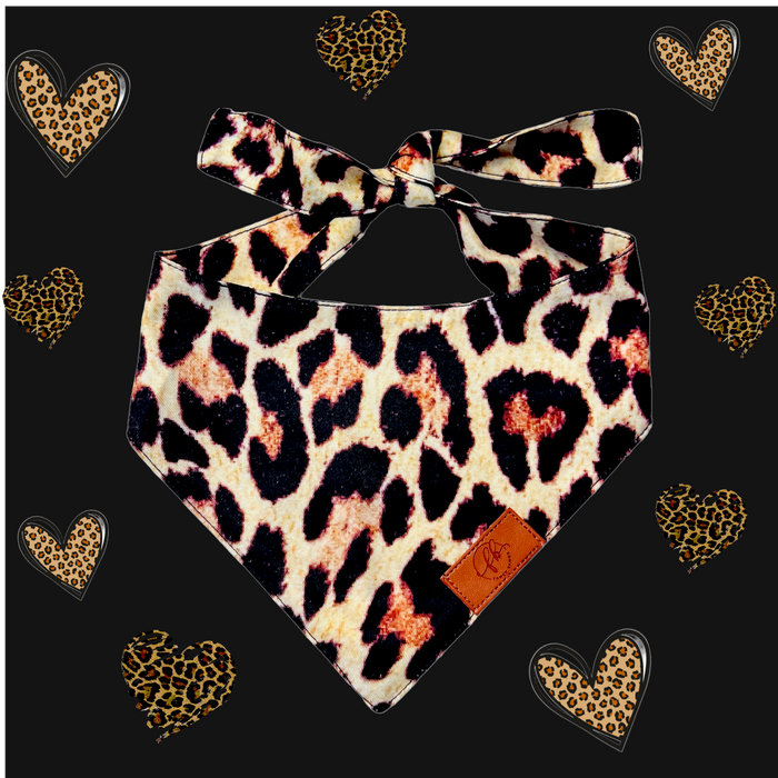 Leopard Fancy Band-Anas For Pets