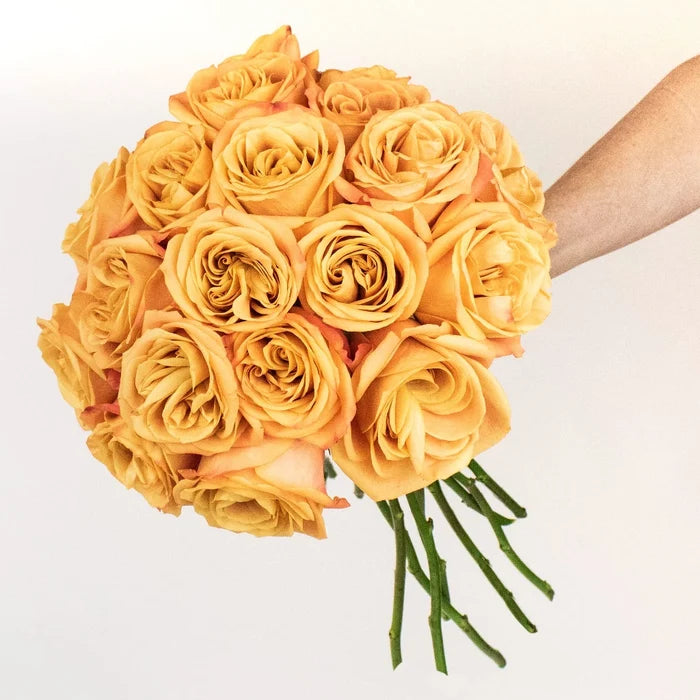Nexus Orange Rose Bunch in a Hand