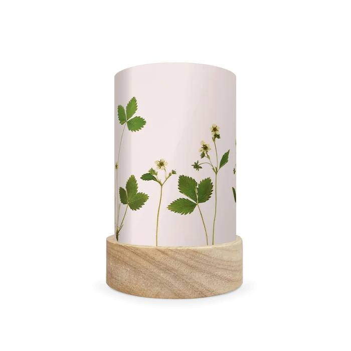 Mini lantern silhouette of pressed white flowers and bright green leaves on a white background